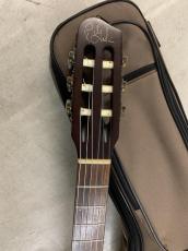 Godin Multiac Nylon Duet エレガット!ピエゾ+コンデンサ マイク!_6