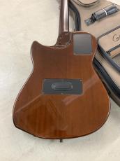 Godin Multiac Nylon Duet エレガット!ピエゾ+コンデンサ マイク!_8