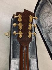 FUJIGEN 楽器フェア出品のプロトタイプ サイド/バック フレイムメイプル オール単板仕様!超希少!_10