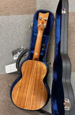 Kamaka HF-2 -Concert-_2