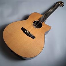 Morris R-102/SLTD_2