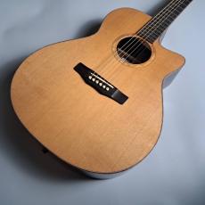 Morris R-102/SLTD_5