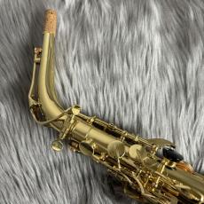 Buffet Crampon Prodige Saxophone【クリアランスセール対象商品】_7