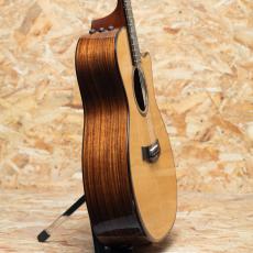 Taylor 914ce LTD Cindy Inlays 2021_4