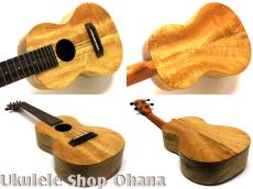 Pono [MGC-K] Kalele Series コンサート マンゴー単板_3