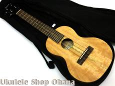 Pono [MGC-K] Kalele Series コンサート マンゴー単板_5