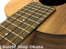 Pono [AC-K] Kalele Series コンサート アカシア単板_14