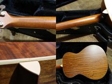 Taylor GC4_9
