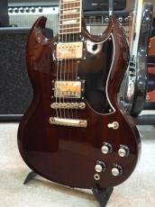 FgN  Neo Classic NSG100-Walnut SGタイプ