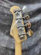 FUJIGEN NJB10RAL_6