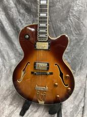 Epiphone Joe Pass Emperor II_5