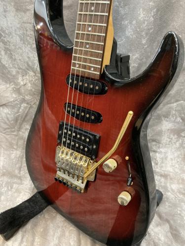 FERNANDES FR-65