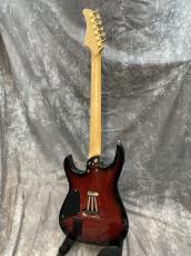 FERNANDES FR-65_2