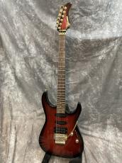 FERNANDES FR-65_3