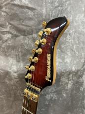 FERNANDES FR-65_4