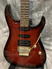 FERNANDES FR-65_5