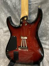 FERNANDES FR-65_7