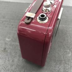 Danelectro N-10 HONEY TONE AMP BUR_5