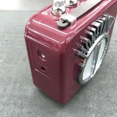Danelectro N-10 HONEY TONE AMP BUR_6