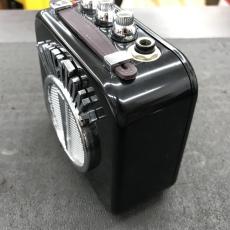 Danelectro N-10 HONEY TONE AMP BLK_5