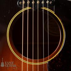 Gibson J-160E _5