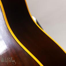Gibson J-160E _13