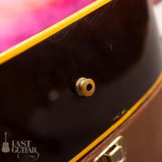 Gibson J-160E _15