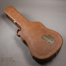 Gibson J-160E _17