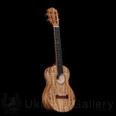 KOU ukulele Concert LN D model - Hawaiian Mango -_2