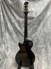Bizen Works BURNED 54STD GOLD TOP TIGER_3