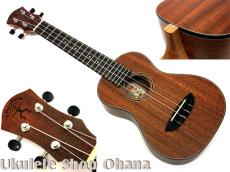 aNueNue [aNN-MCM] ミニコンサート マホガニー合板