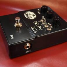 ROZZ DB-01 Delay Box_2
