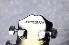 Epiphone Adam Jones Les Paul Custom Art - Korin Faught's "Sensation" #23011523787 [4.25kg]_11