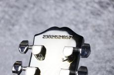 Epiphone Adam Jones Les Paul Custom Art - Korin Faught's "Sensation" #23021521857 [4.31kg]_11