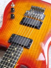 Valley Arts USA Custom Stratocaster HH【シリアル50番以内】_3