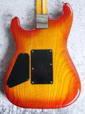 Valley Arts USA Custom Stratocaster HH【シリアル50番以内】_4