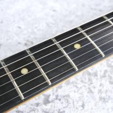 Valley Arts USA Custom Stratocaster HH【シリアル50番以内】_6