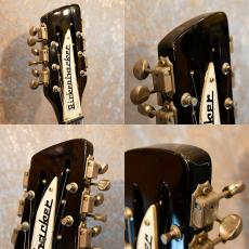 Rickenbacker 360/12V64_3