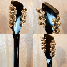 Rickenbacker 360/12V64_4