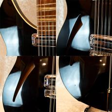 Rickenbacker 360/12V64_5
