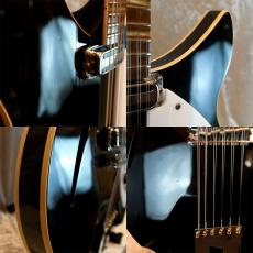 Rickenbacker 360/12V64_6