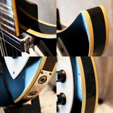 Rickenbacker 360/12V64_8