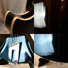 Rickenbacker 360/12V64_9