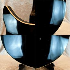 Rickenbacker 360/12V64_11