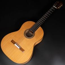 禰寝 孝次郎 フラメンコS/Selected/シープ_2