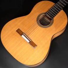 禰寝 孝次郎 フラメンコS/Selected/シープ_3