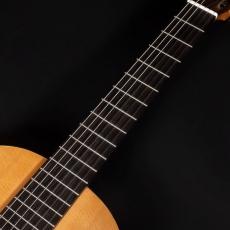 禰寝 孝次郎 フラメンコS/Selected/シープ_4