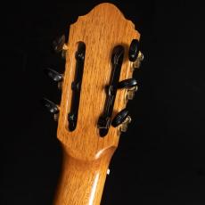 禰寝 孝次郎 フラメンコS/Selected/シープ_7