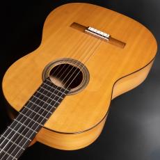 禰寝 孝次郎 フラメンコS/Selected/シープ_10