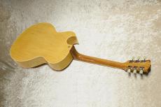 Archtop Tribute AT105 Classic_4